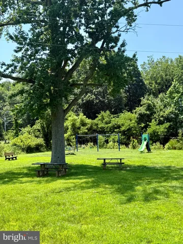 a park with a tree in the background