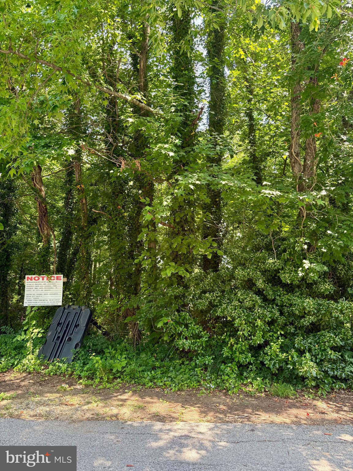 509 Overhill Drive Edgewater, MD 21037 - Photo 4 of 14 a view of a bunch of trees and bushes