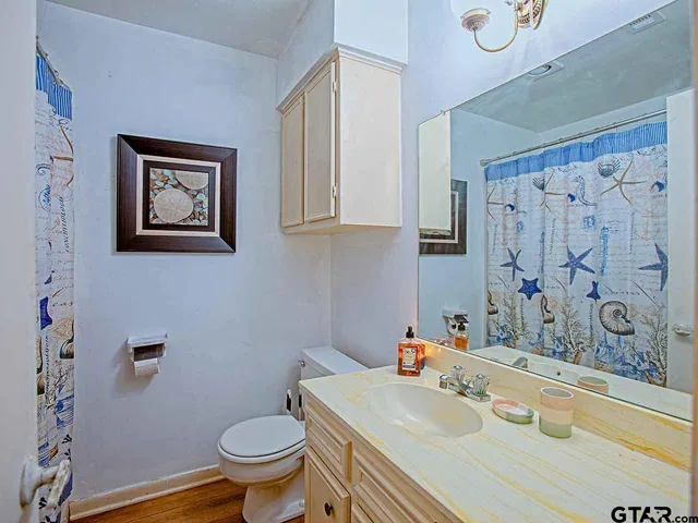 a bathroom with a sink a toilet and shower curtain