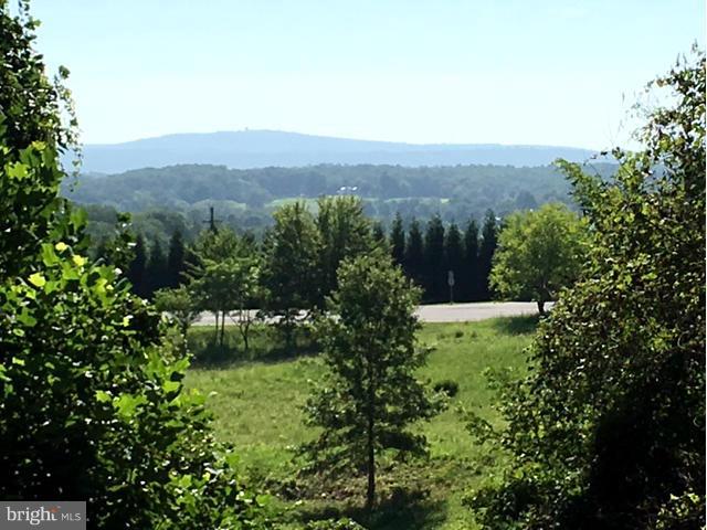 3277 Fortune Mountain Road Marshall, VA 20115 - Photo 2 of 15 Gorgeous Mountain Views