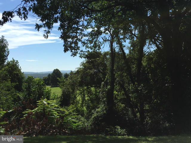3277 Fortune Mountain Road Marshall, VA 20115 - Photo 11 of 15 Mountain View