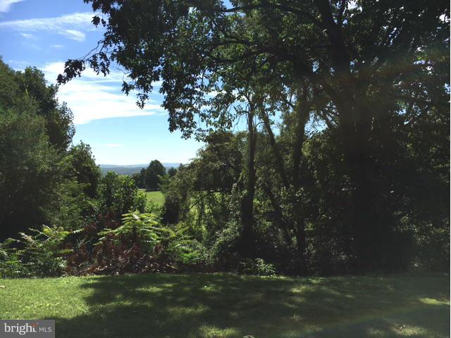 3277 Fortune Mountain Road Marshall, VA 20115 - Photo 10 of 15 Mountain View