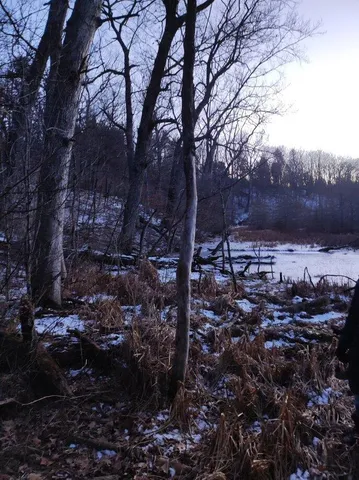 $109,000 | Lt2 Austin Road, East Troy, WI 53120