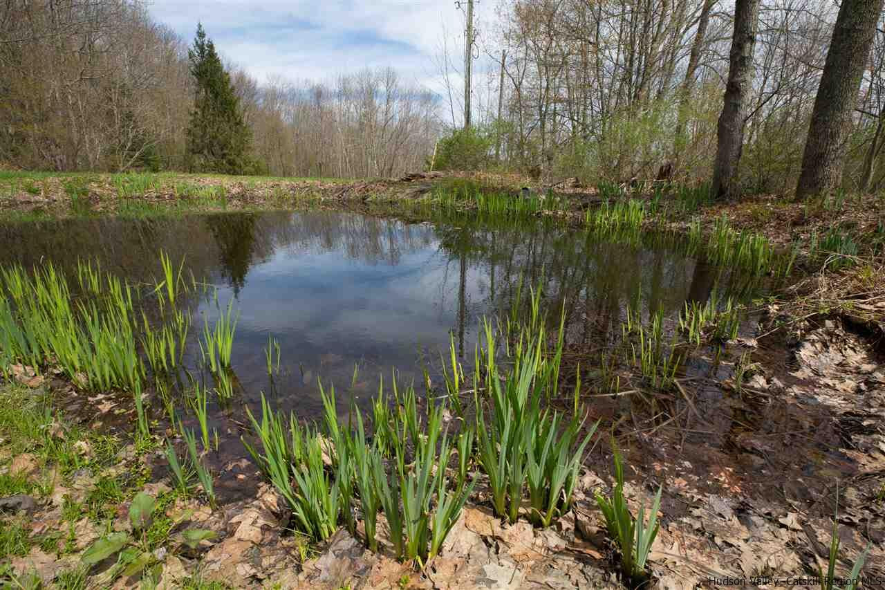 1280 Woolheater Road Denver, NY 12421 - Photo 31 of 35 Photo 31