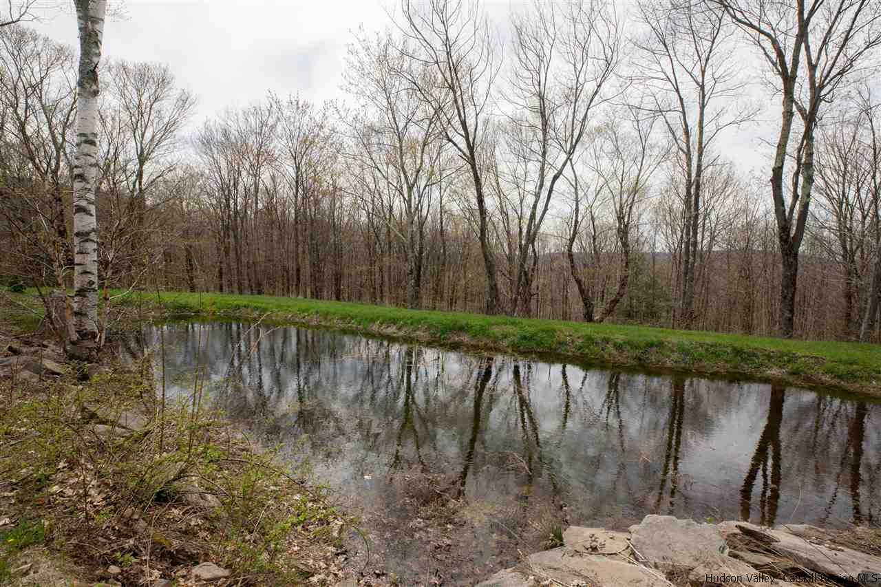 1280 Woolheater Road Denver, NY 12421 - Photo 32 of 35 Photo 32