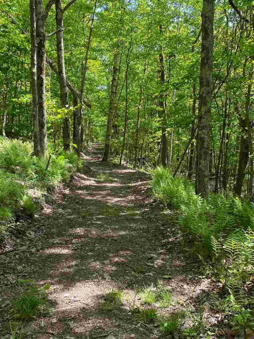 1280 Woolheater Road Denver, NY 12421 - Photo 34 of 35 Photo 34