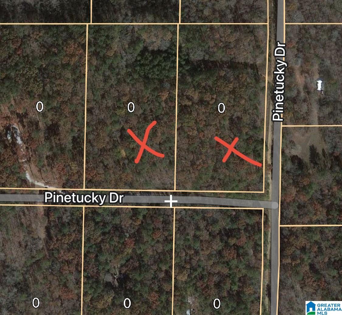 Pinetuckey Drive, Unit 10 Lineville, AL 36266 - Photo 7 of 7
