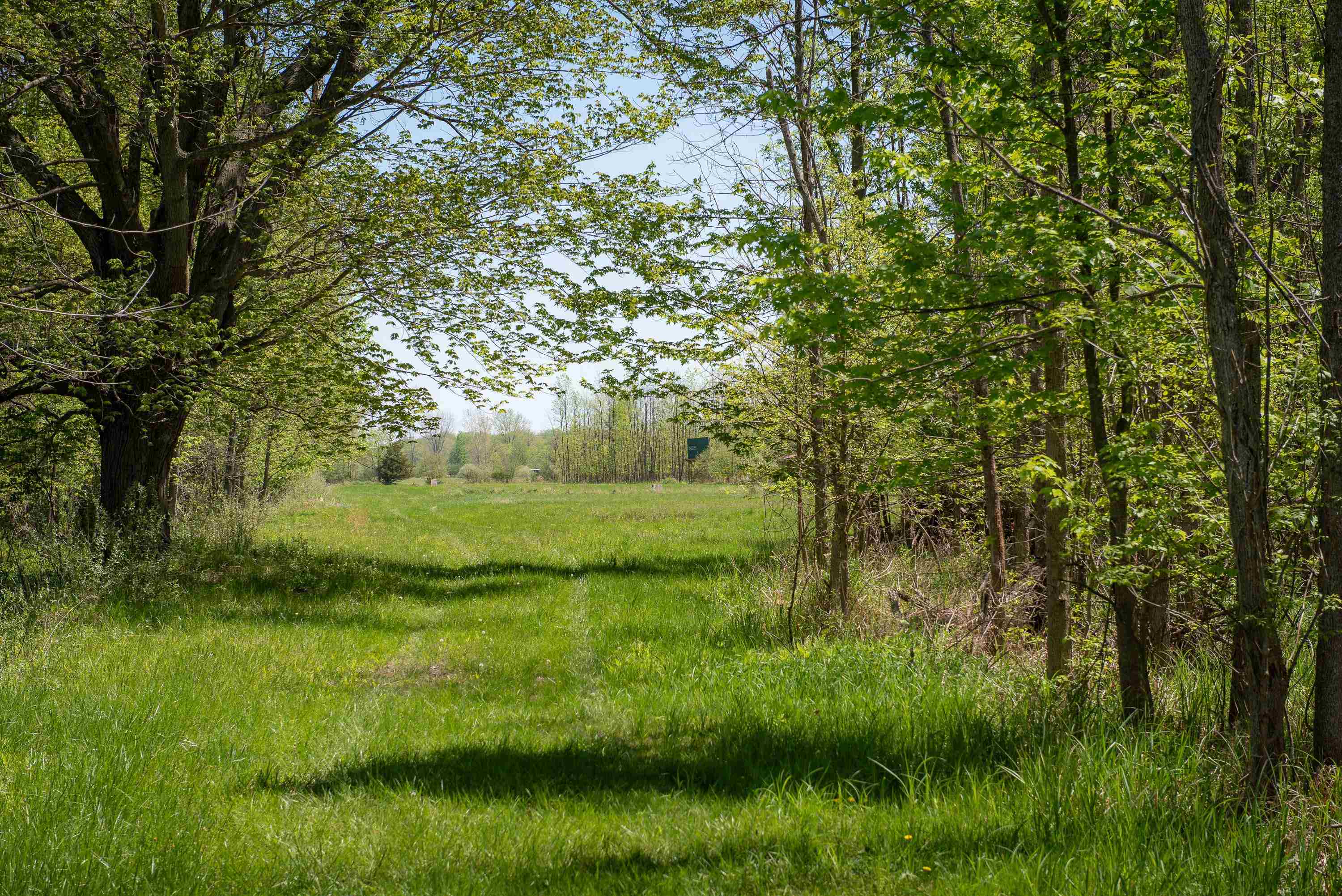 2250 North Coleman Road Coleman, MI 48618 - Photo 48 of 66