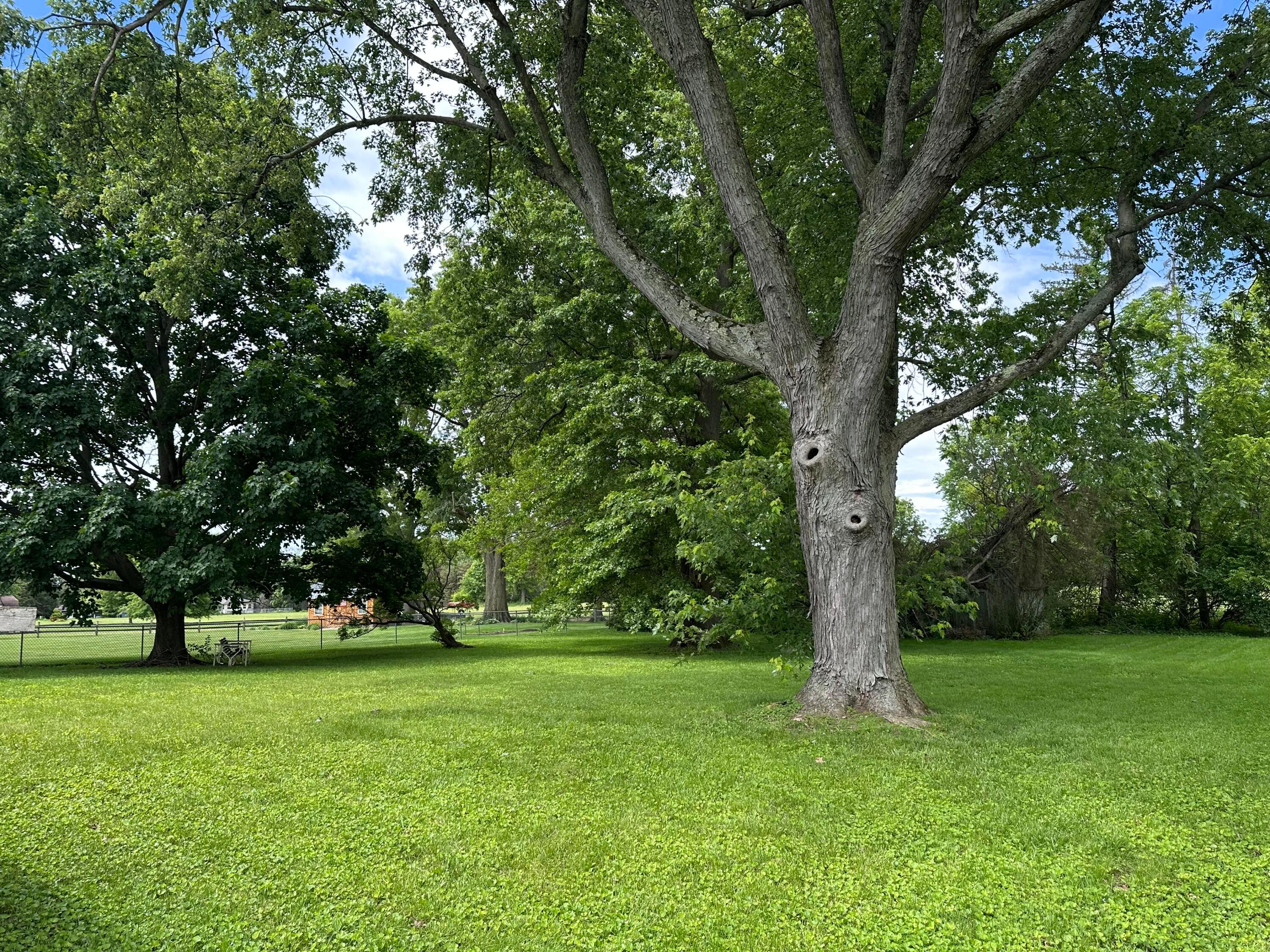1341 Lusch Road Marion, OH 43302 - Photo 2 of 20 IMG_9763
