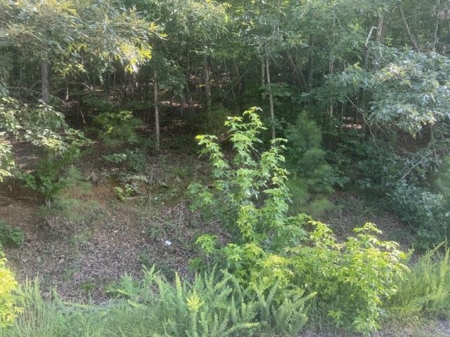5 Carroll Hollow Road Waynesboro, TN 38485 - Photo 5 of 23