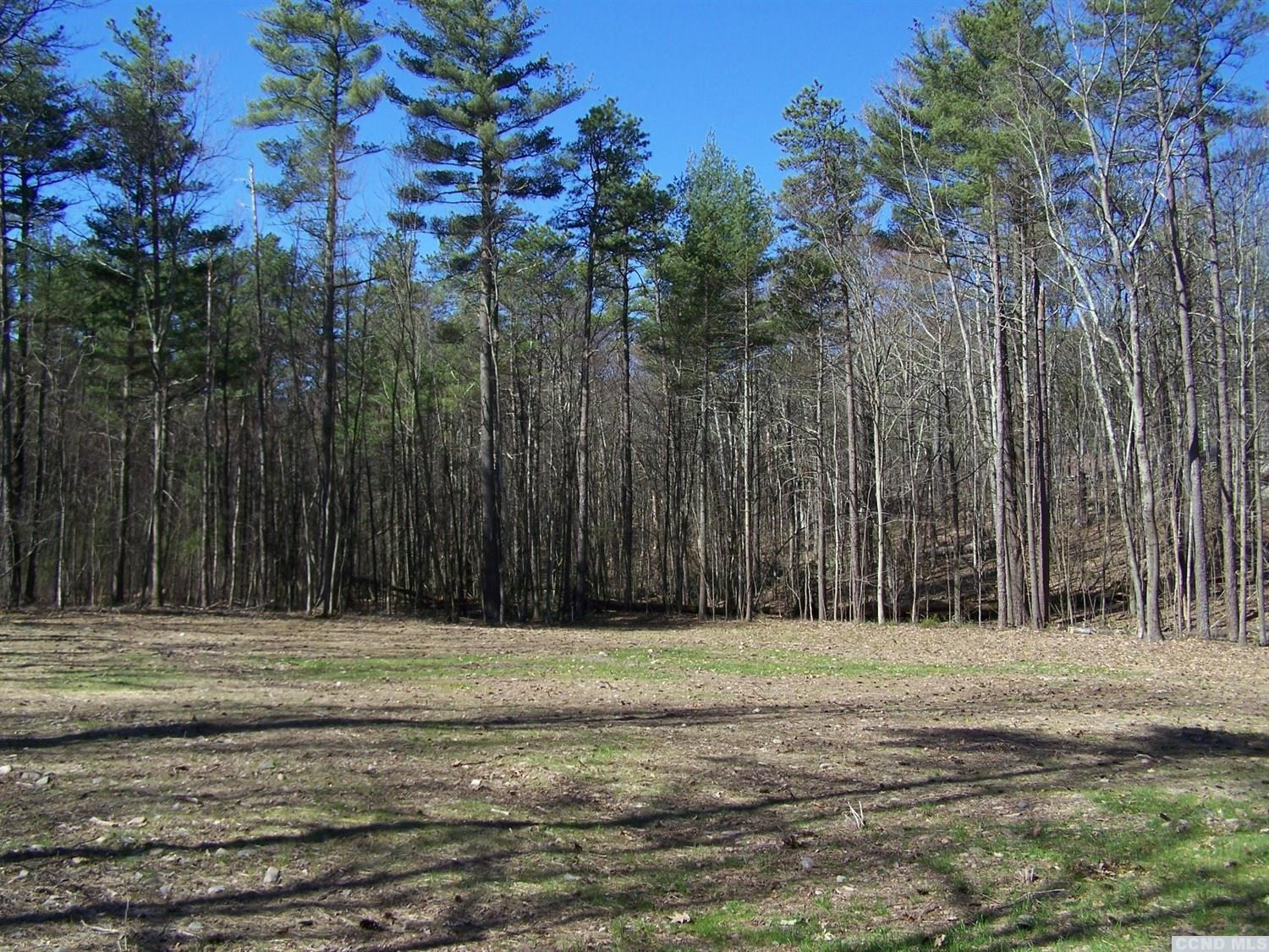 0 Maple Grove Road Palenville, NY 12463 - Photo 3 of 10 Photo 3