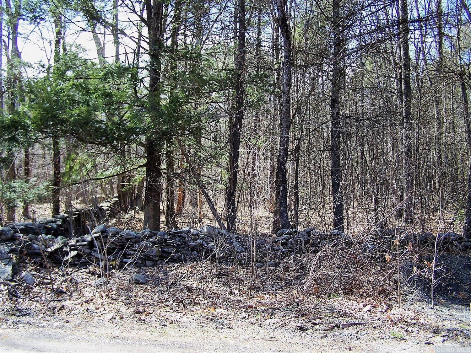 0 Maple Grove Road Palenville, NY 12463 - Photo 7 of 10 Photo 7
