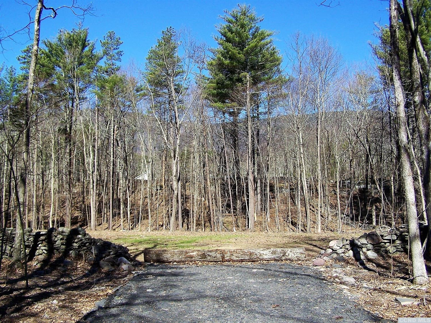 0 Maple Grove Road Palenville, NY 12463 - Photo 8 of 10 Photo 8