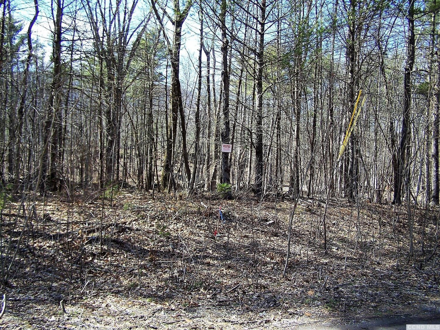 0 Maple Grove Road Palenville, NY 12463 - Photo 10 of 10 Photo 10
