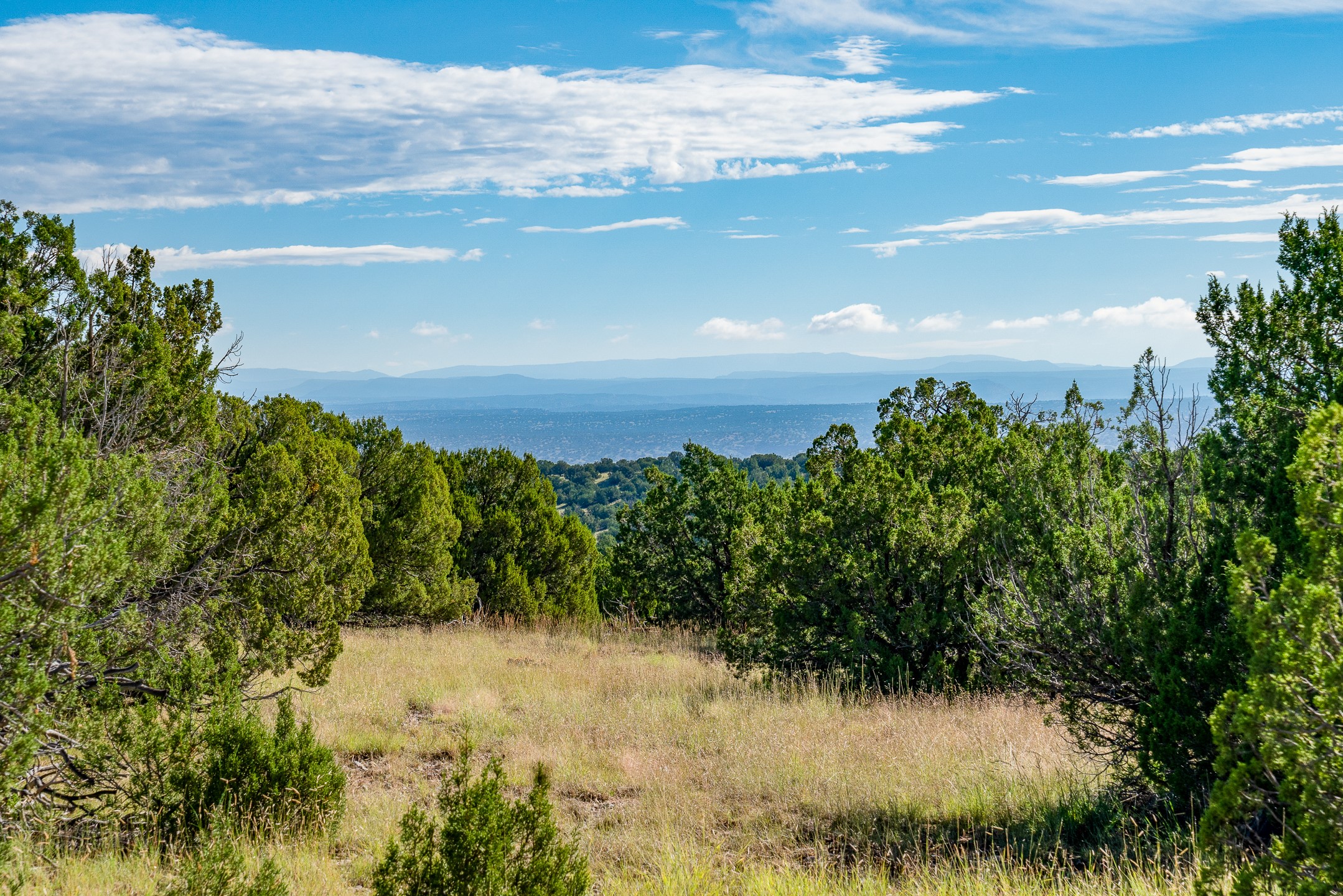 95 Grenfell Ranch Road Cerrillos, NM 87010 - Photo 19 of 47