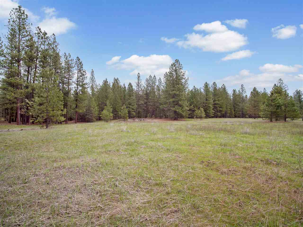 0 North Bruce Road Chattaroy, WA 99003 - Photo 11 of 20