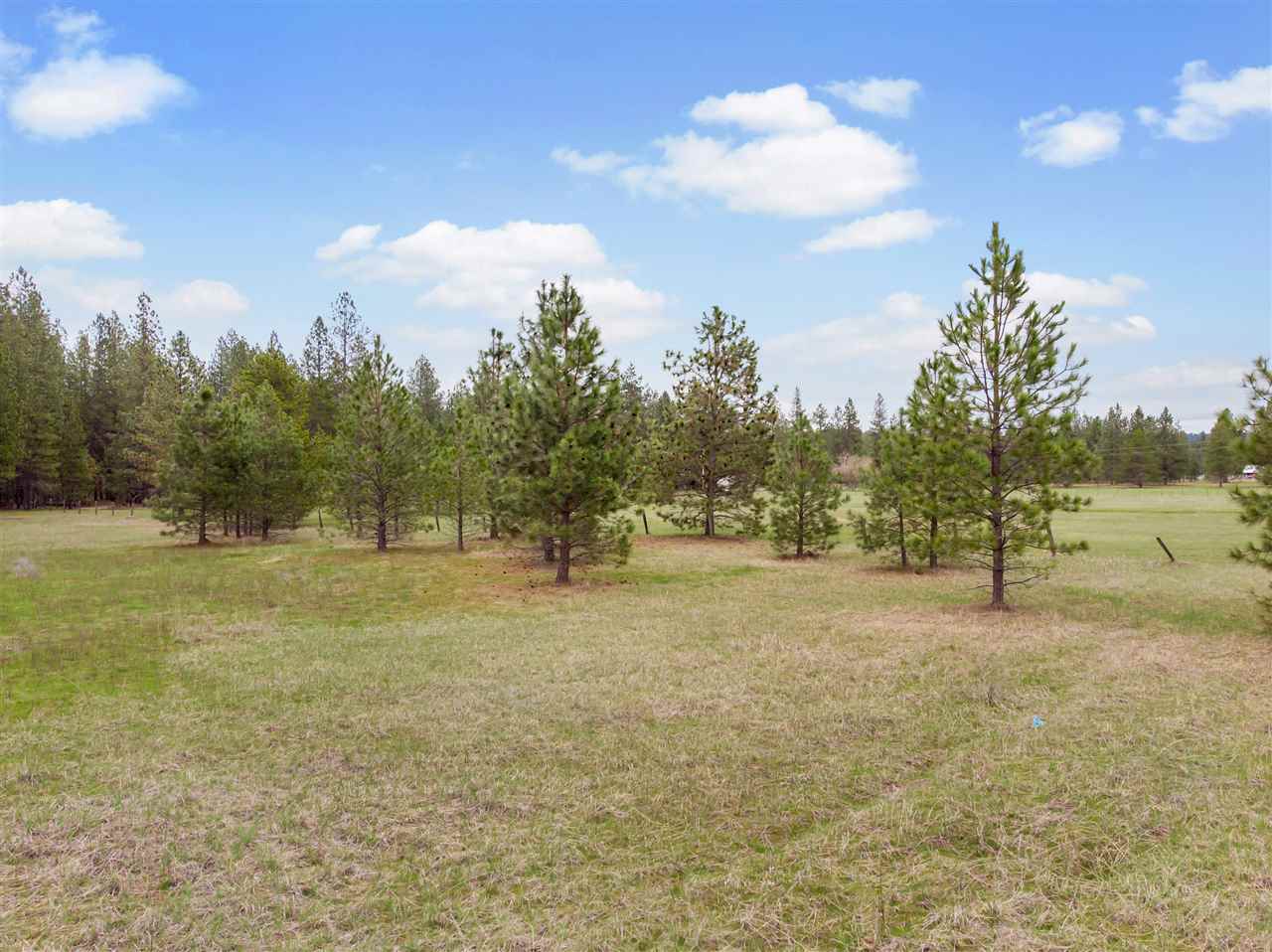 0 North Bruce Road Chattaroy, WA 99003 - Photo 12 of 20