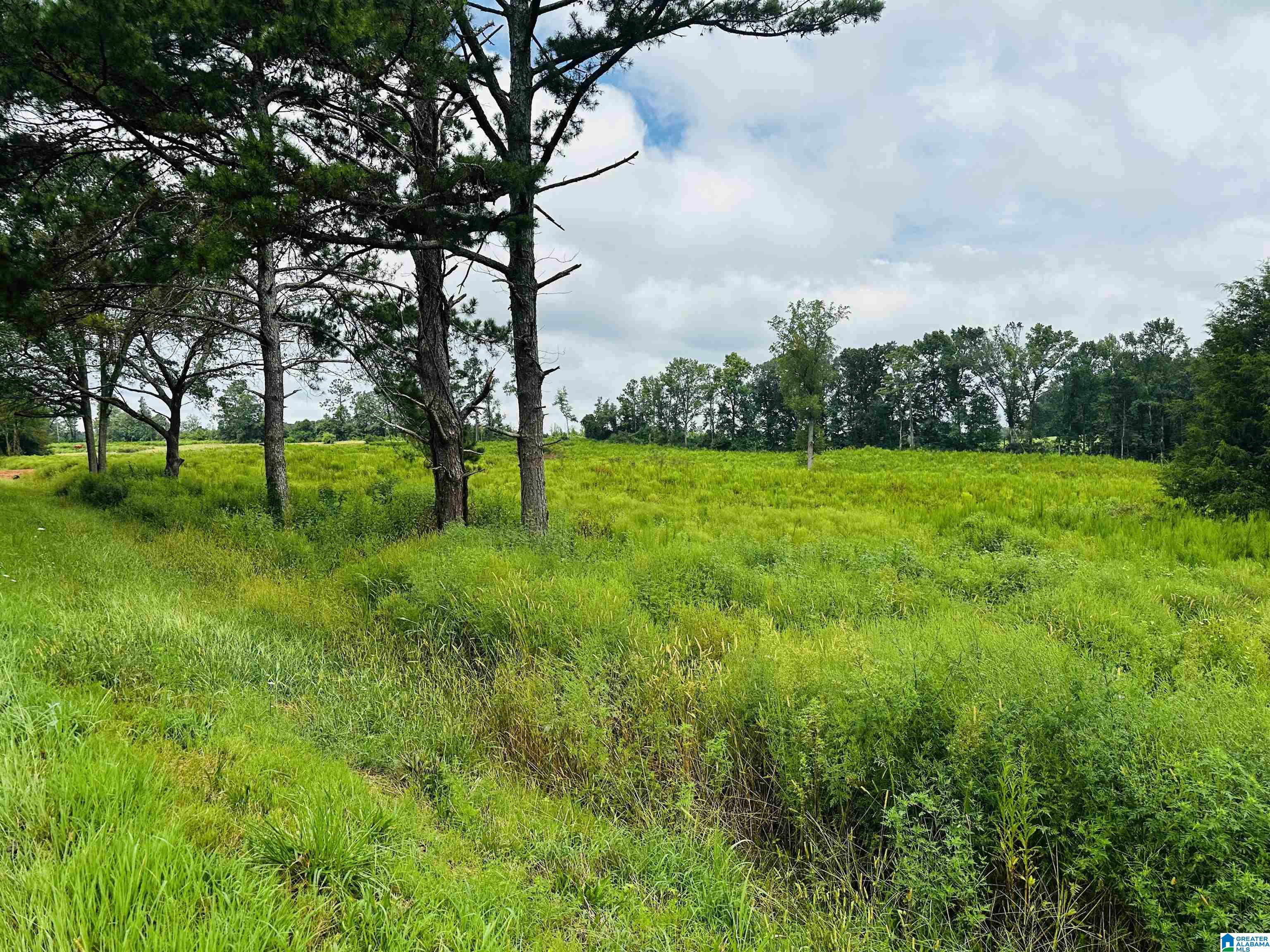 0 McVey Road Lineville, AL 36266 - Photo 2 of 7
