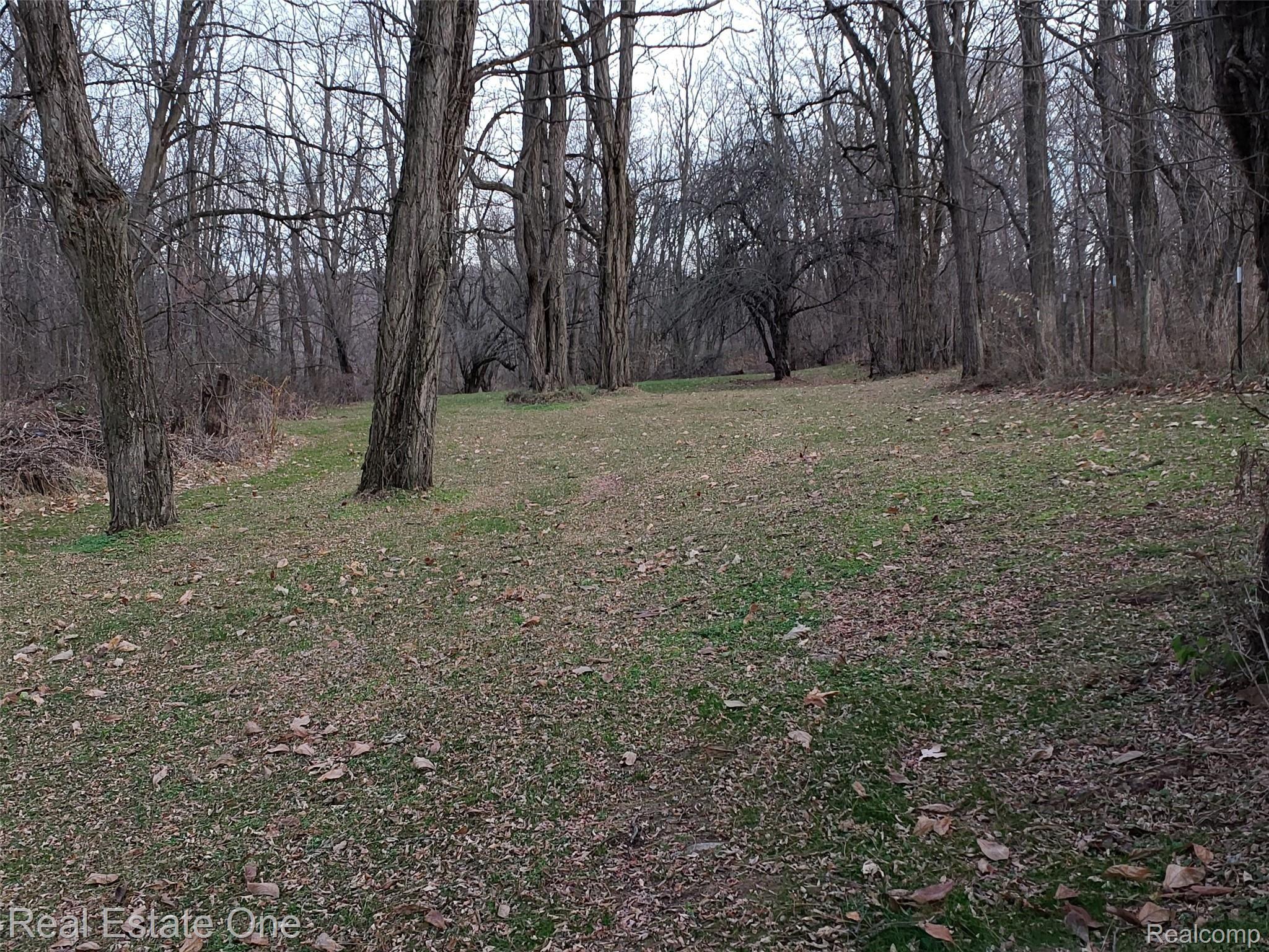7205 Farley Road Pinckney, MI 48169 - Photo 25 of 28 20201120_162857.jpg