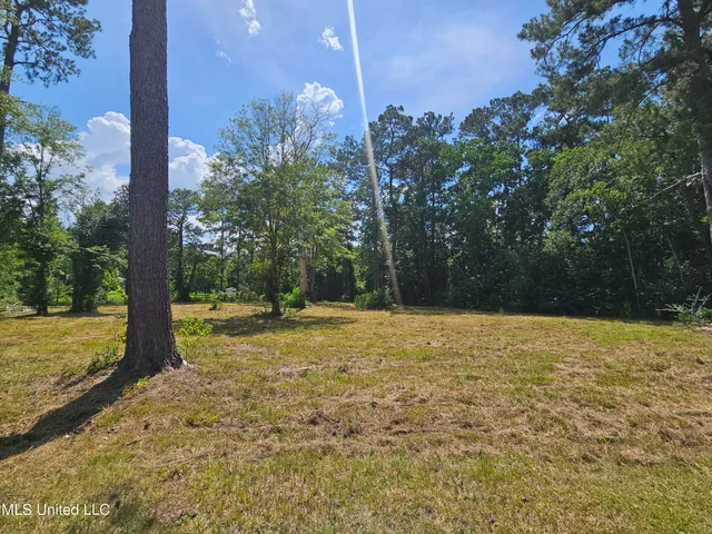 $44,900 | 14 Jolly Roger Point, Carriere, MS 39426