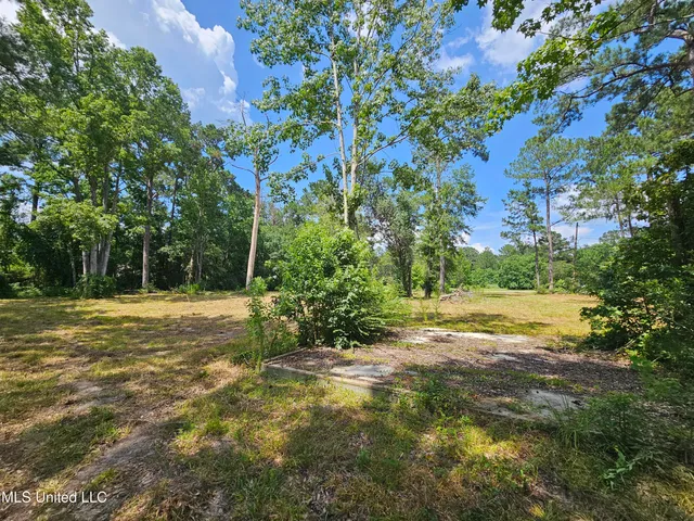 $44,900 | 14 Jolly Roger Point, Carriere, MS 39426