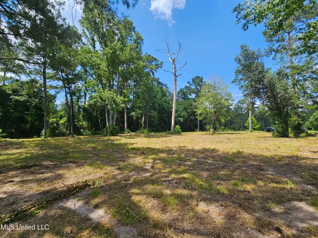 $44,900 | 14 Jolly Roger Point, Carriere, MS 39426