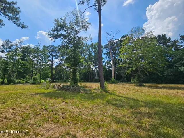 $44,900 | 14 Jolly Roger Point, Carriere, MS 39426