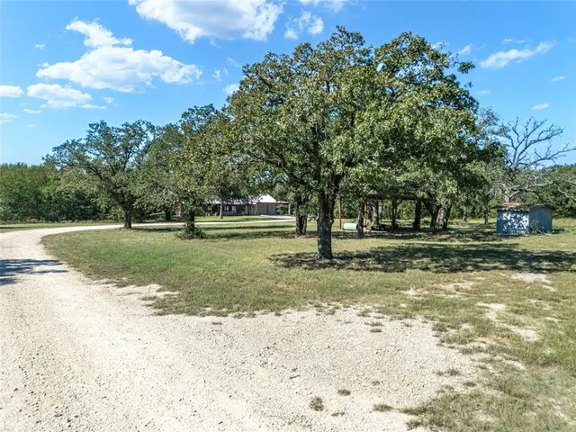 a view of a yard with tree s