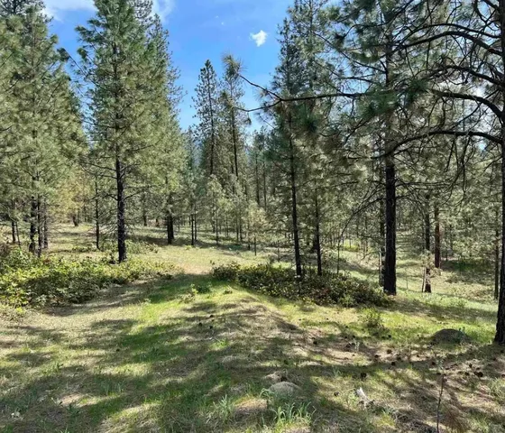 $150,000 | Lot #2 North Junco Way, Kettle Falls, WA 99141