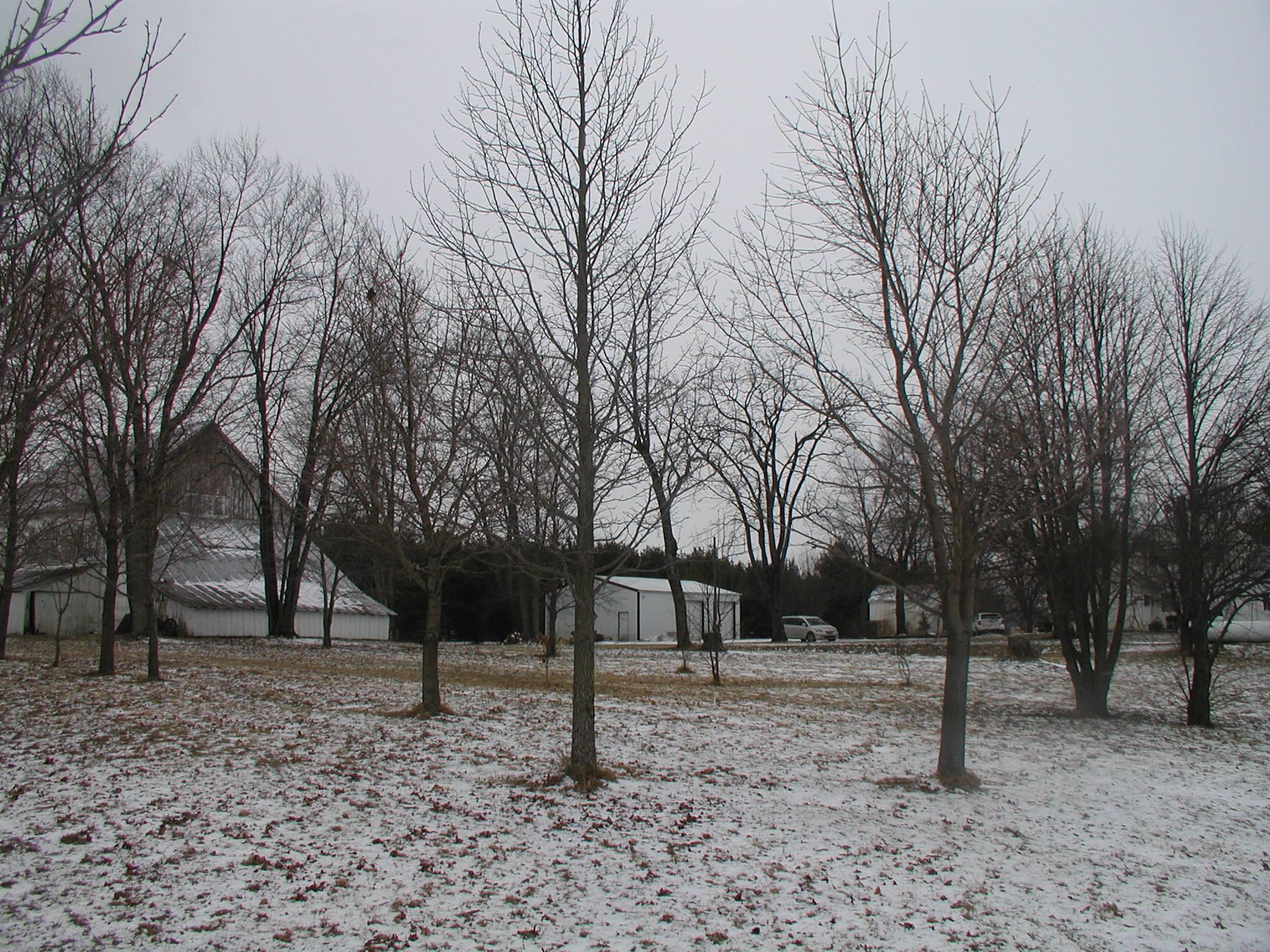4981 Shoemaker Road Ashley, OH 43003 - Photo 16 of 35