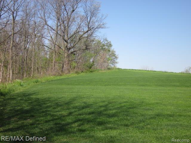 3975 Ridgemonte Court Rochester, MI 48306 - Photo 38 of 39 Rear Yard