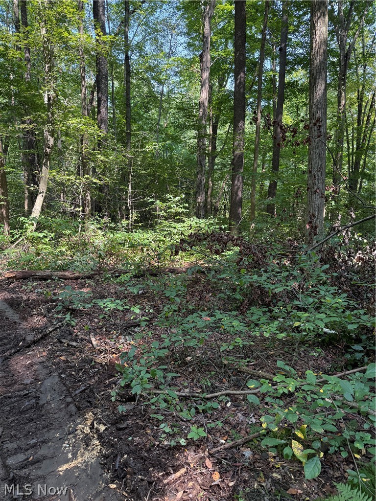 6951-7151 Woodard Road Andover, OH 44003 - Photo 3 of 12 Gallery Image 3