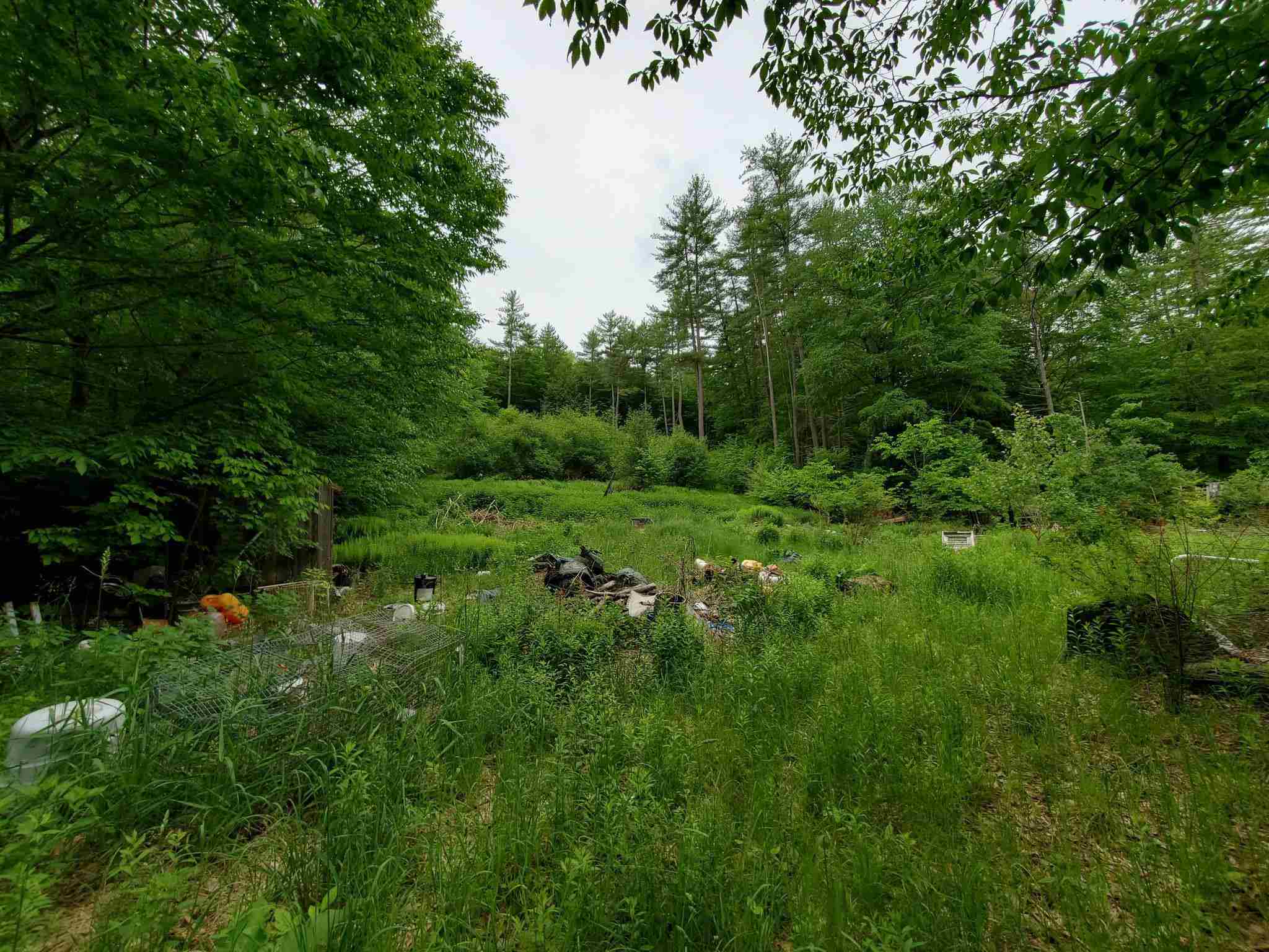 166 Town Line Road Putney, VT 05346 - Photo 1 of 12