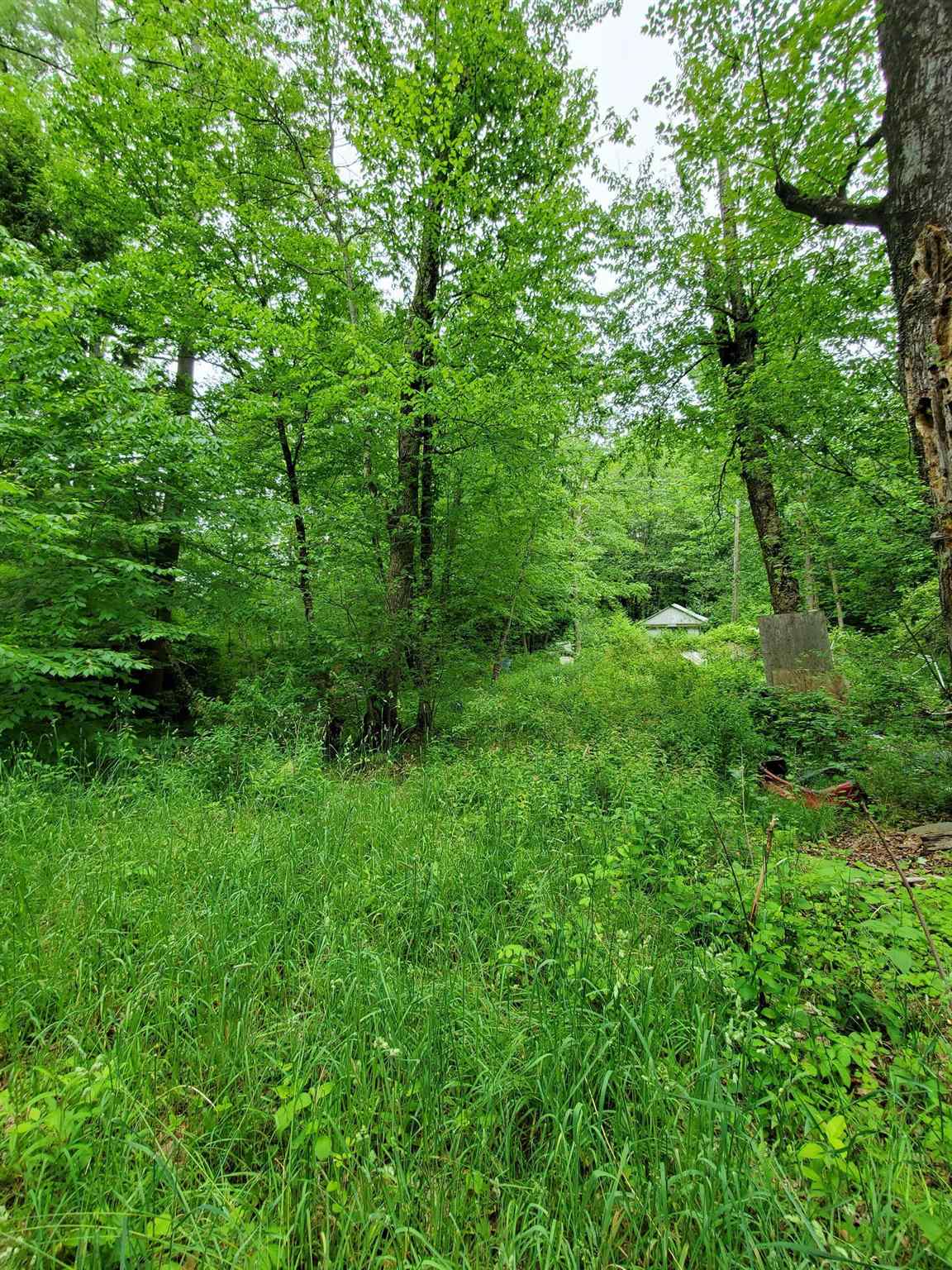 166 Town Line Road Putney, VT 05346 - Photo 3 of 12