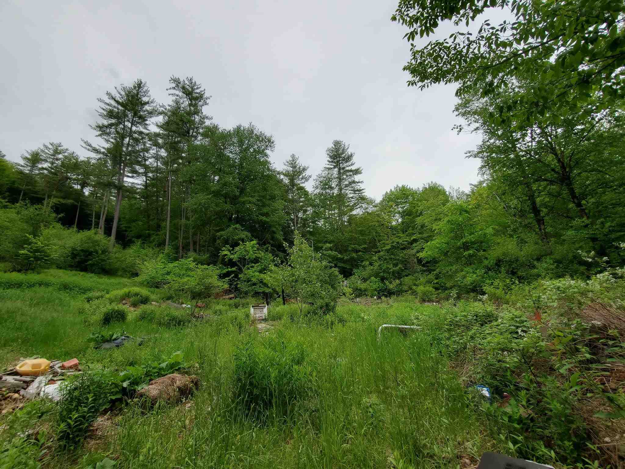 166 Town Line Road Putney, VT 05346 - Photo 4 of 12