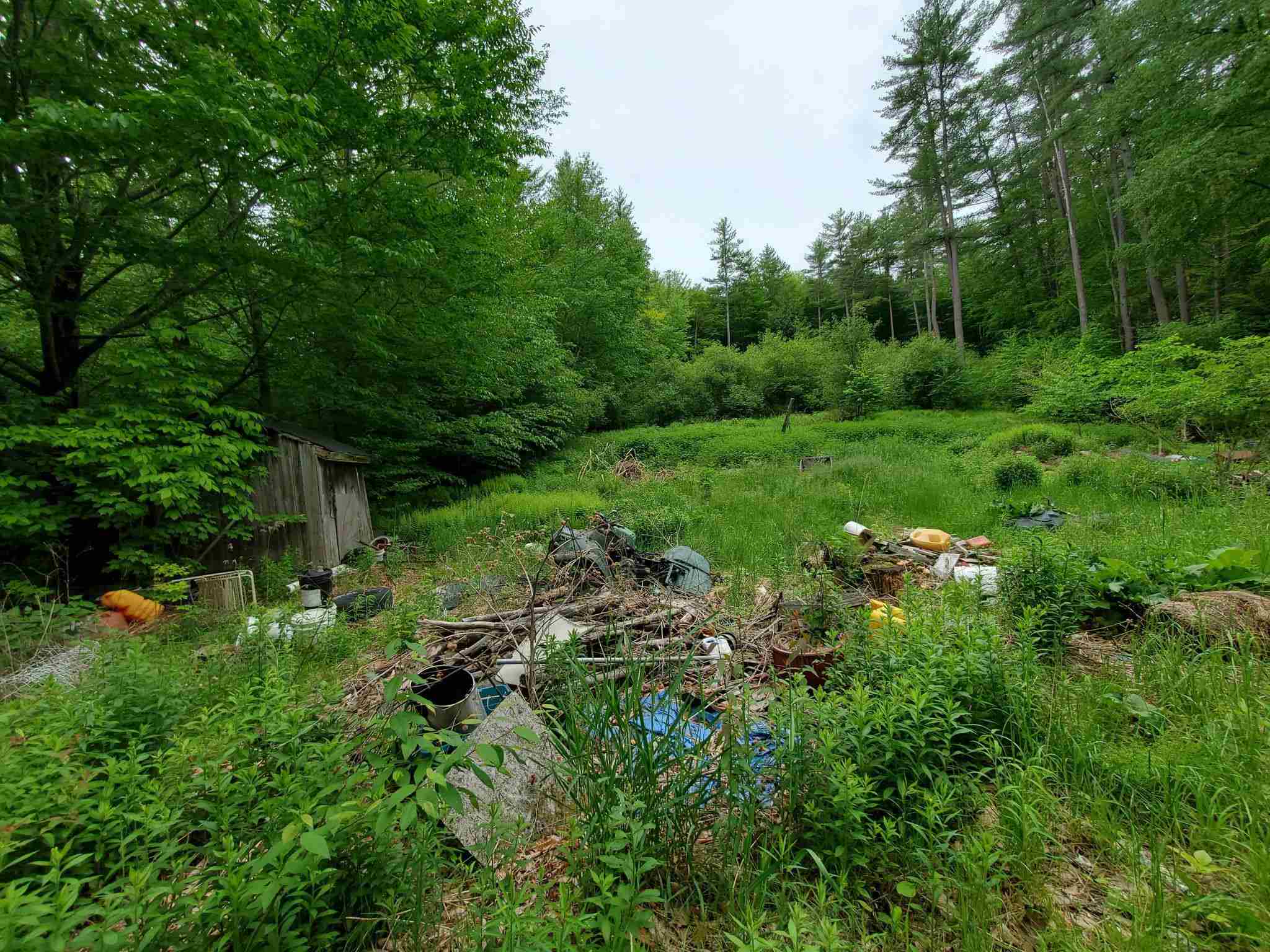 166 Town Line Road Putney, VT 05346 - Photo 5 of 12