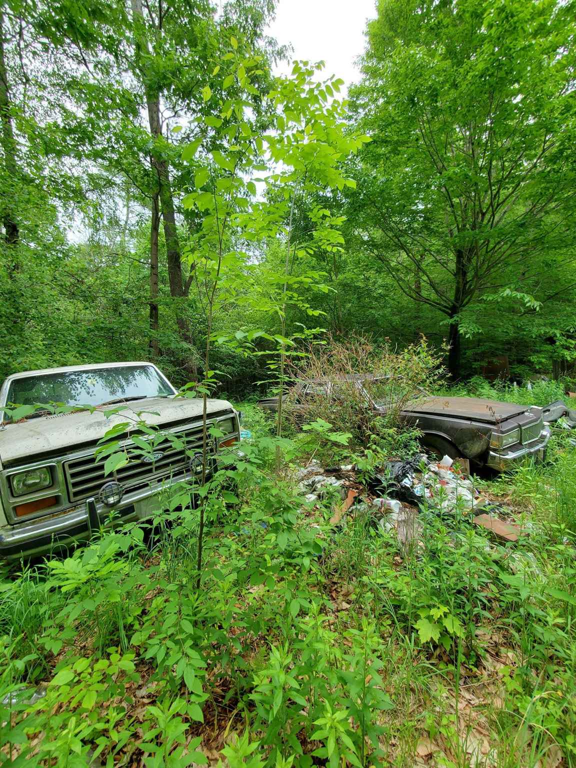 166 Town Line Road Putney, VT 05346 - Photo 6 of 12