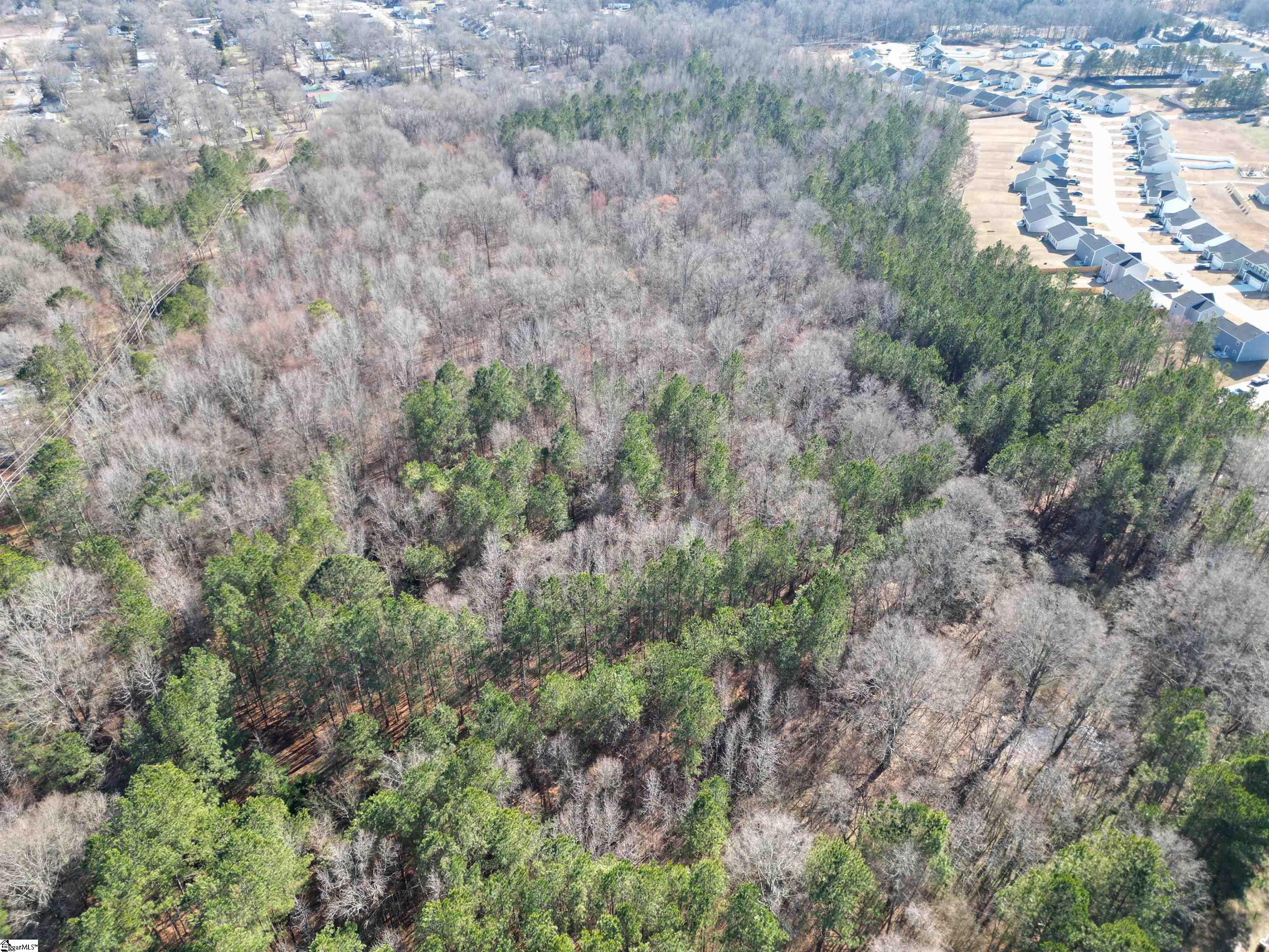 0 Creighton Ridge Drive Clinton, SC 29325 - Photo 3 of 8