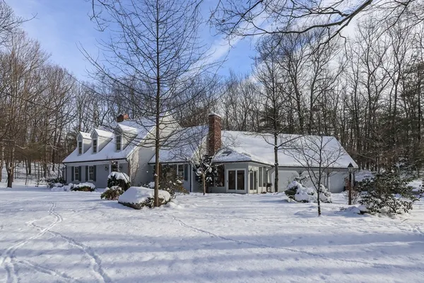 a view of a town with brick house and large trees