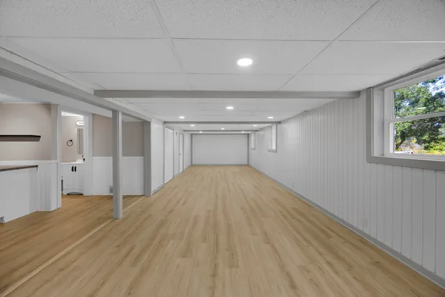 a view of a yard with plants and large trees