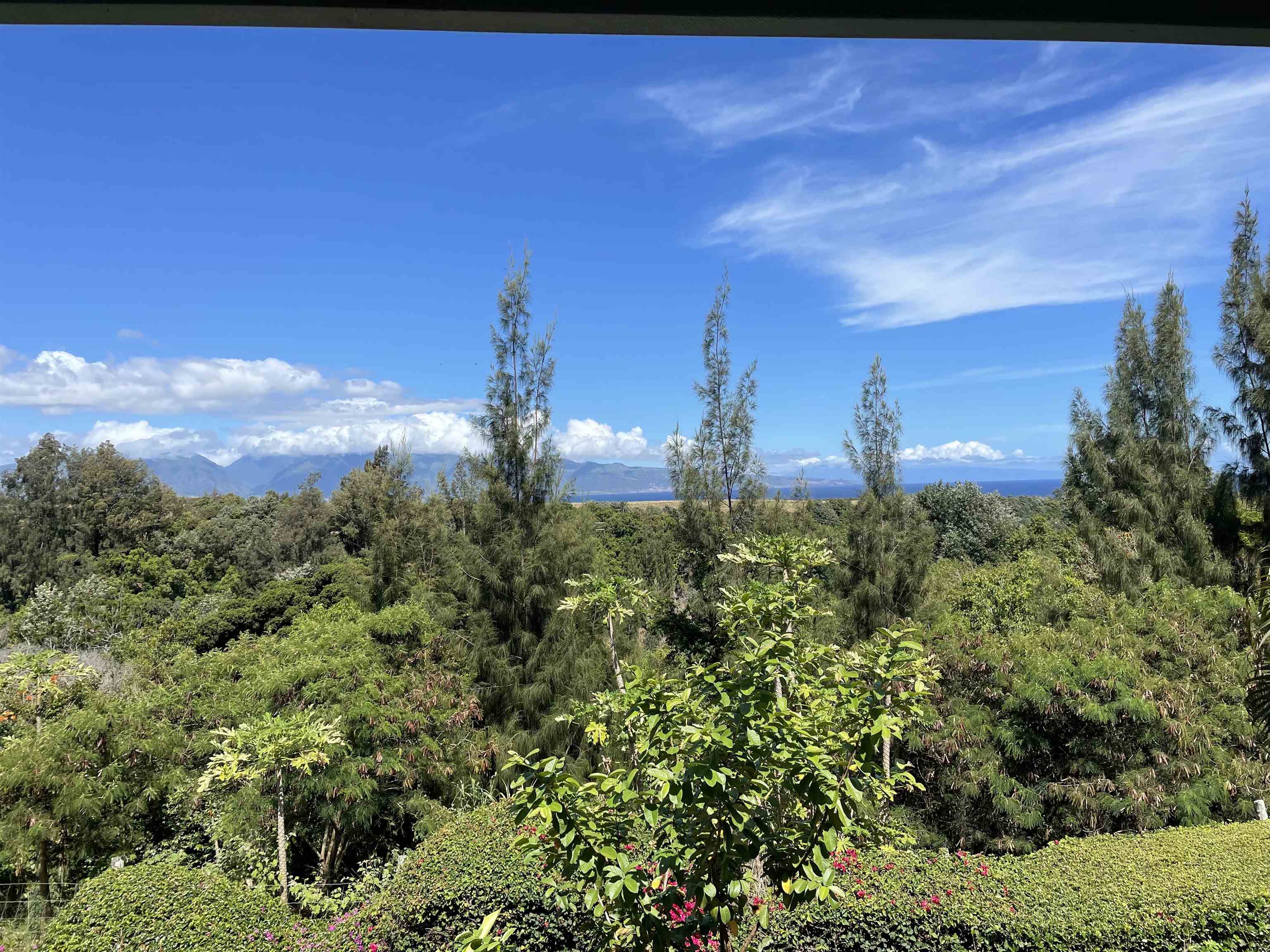 150 Piialii Place Haiku, HI 96708 - Photo 3 of 3 a view of a city