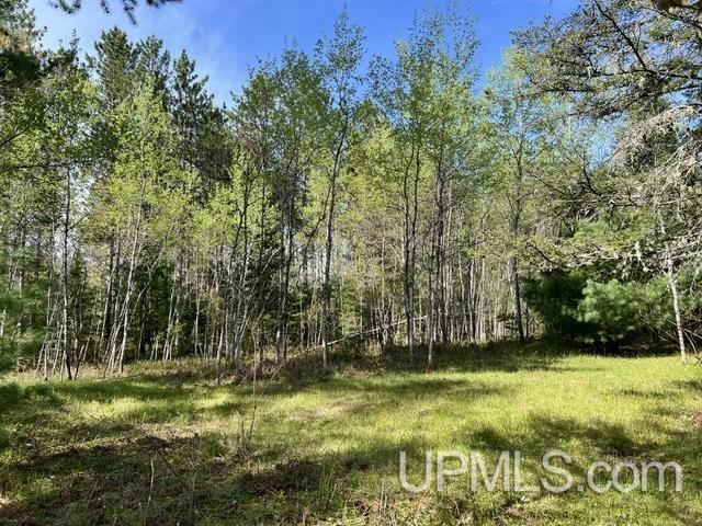 T-wi Wi 54156 Road Pembine, WI 54156 - Photo 10 of 17
