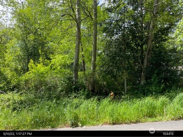 0 Marine Drive Point Roberts, WA 98281 - Photo 1 of 4 a view of a forest
