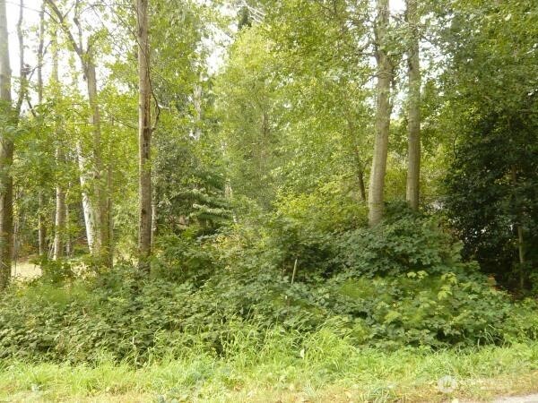 0 Marine Drive Point Roberts, WA 98281 - Photo 2 of 4 a view of a garden