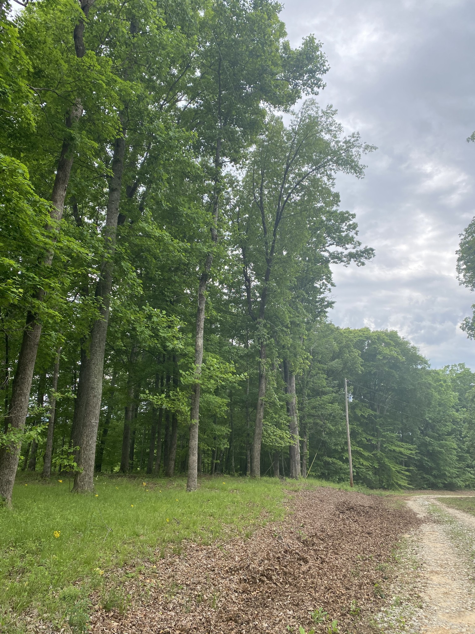 0 Schlamb Road Morrison, TN 37357 - Photo 3 of 9