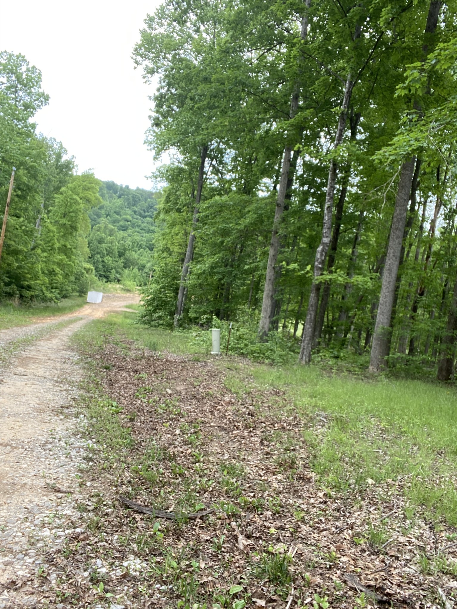 0 Schlamb Road Morrison, TN 37357 - Photo 4 of 9