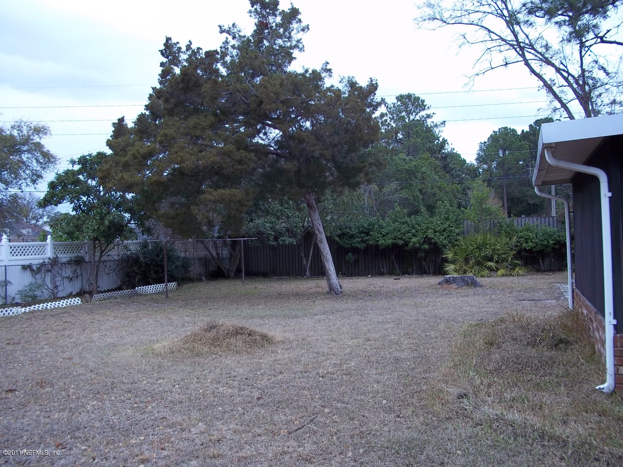 8806 Brierwood Road Jacksonville, FL 32257 - Photo 20 of 20 Backyard