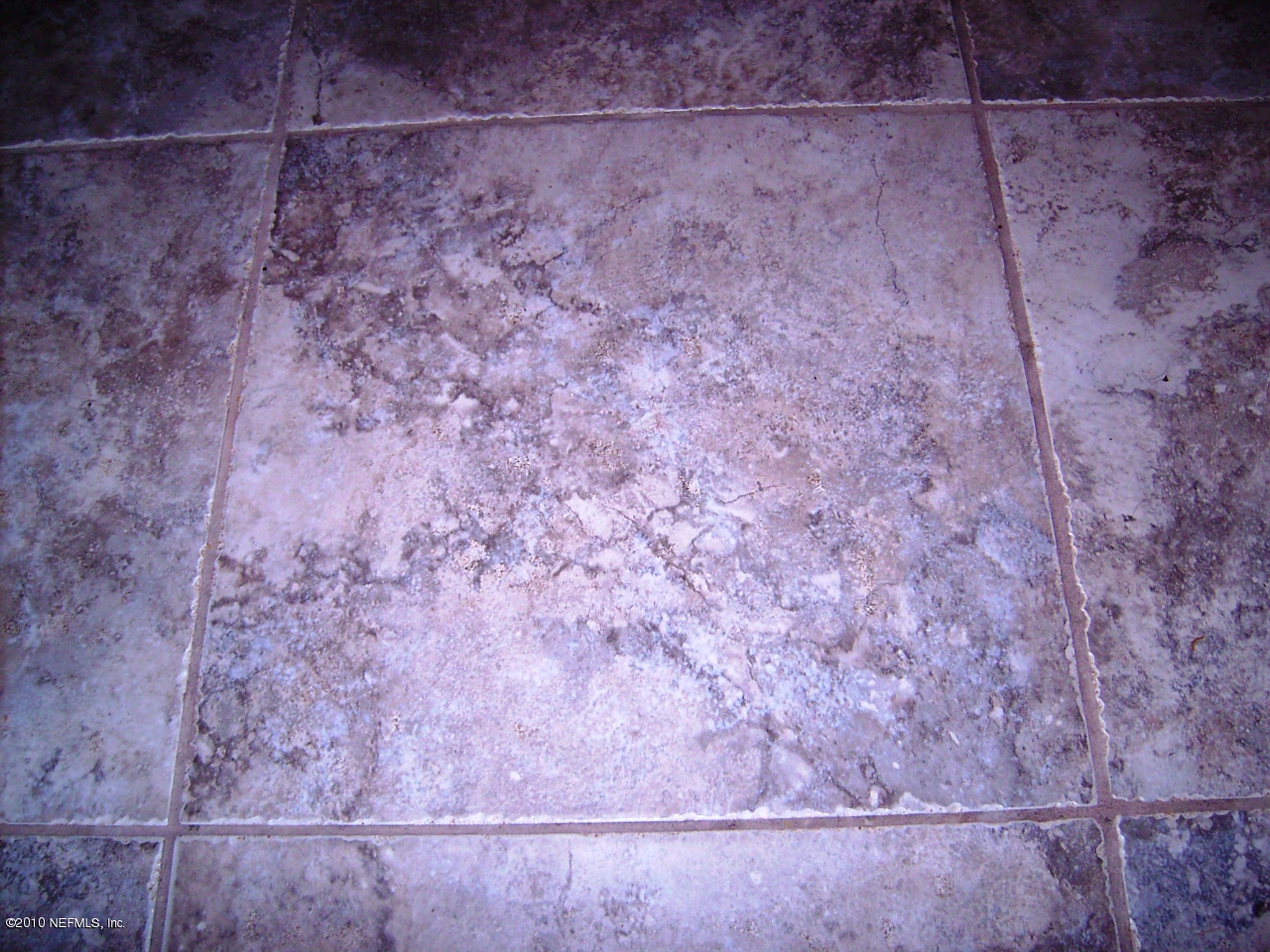 8806 Brierwood Road Jacksonville, FL 32257 - Photo 10 of 20 Ceramic Tile