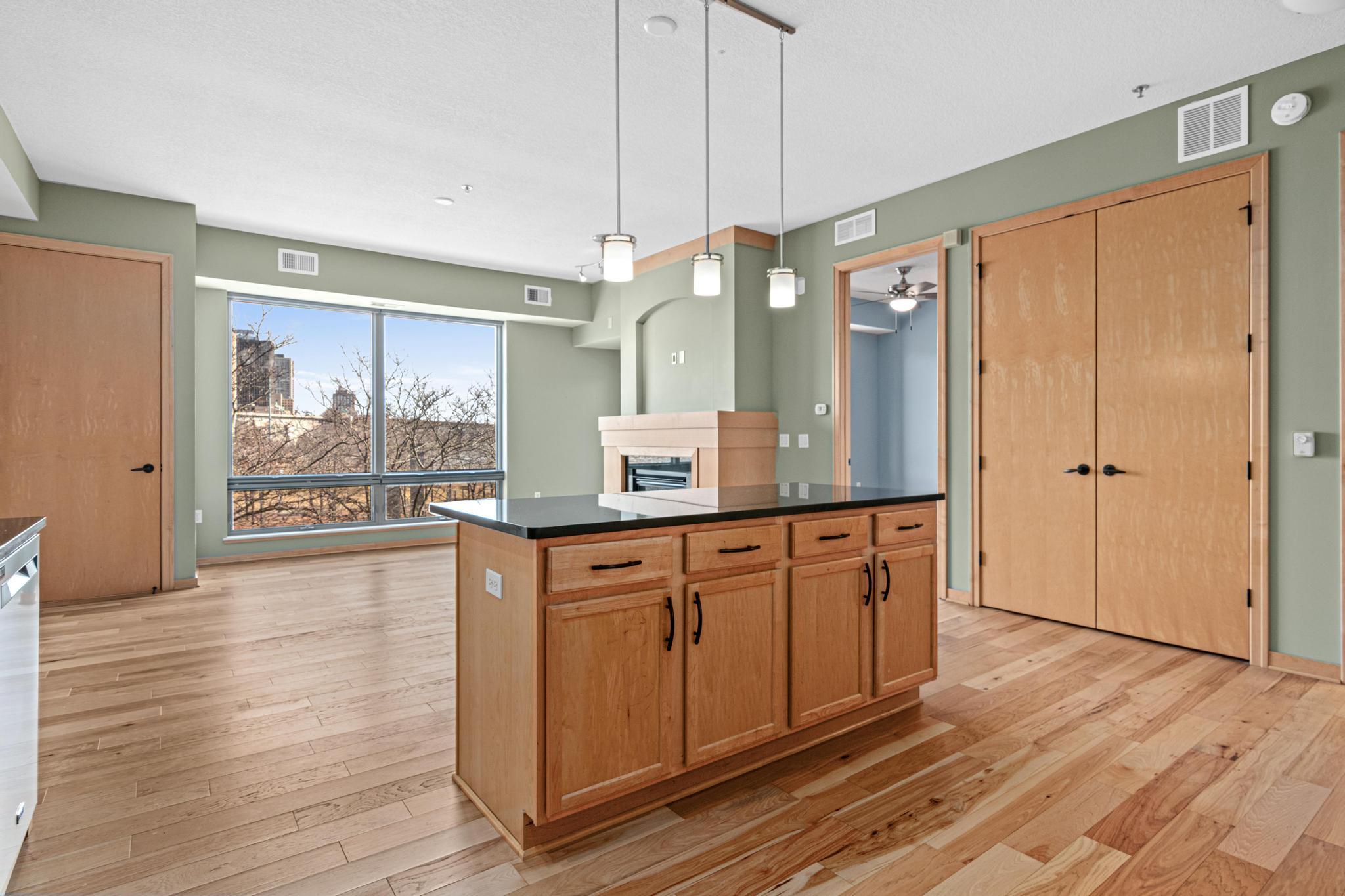 240 Spring Street, Unit 226 St. Paul, MN 55102 - Photo 13 of 41