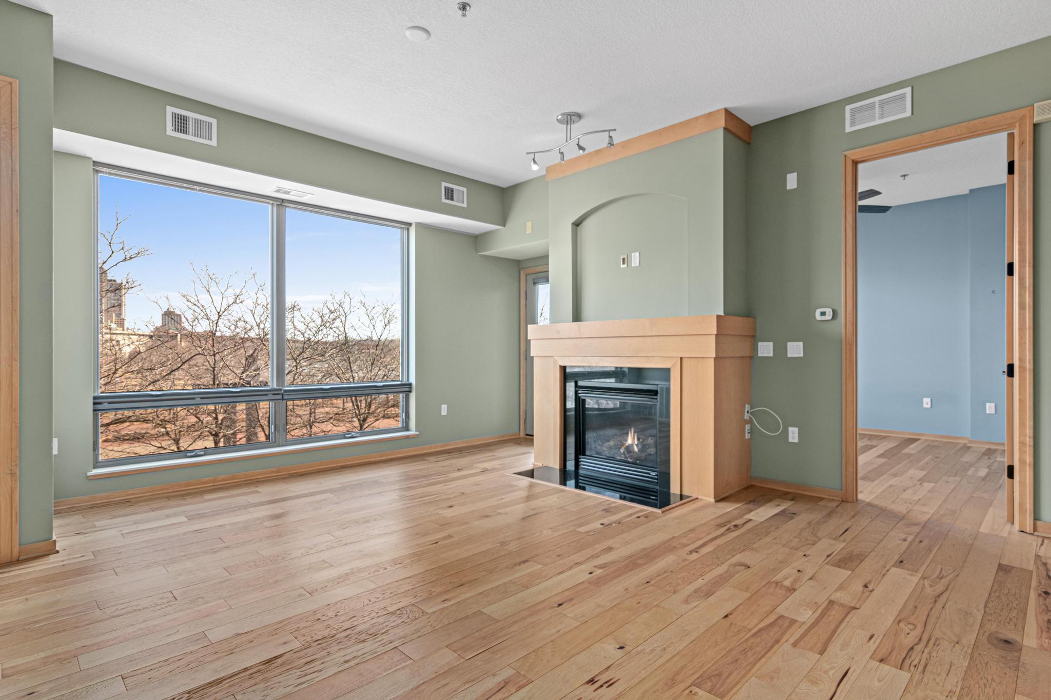 240 Spring Street, Unit 226 St. Paul, MN 55102 - Photo 2 of 41